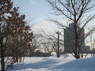 20120229.jpg